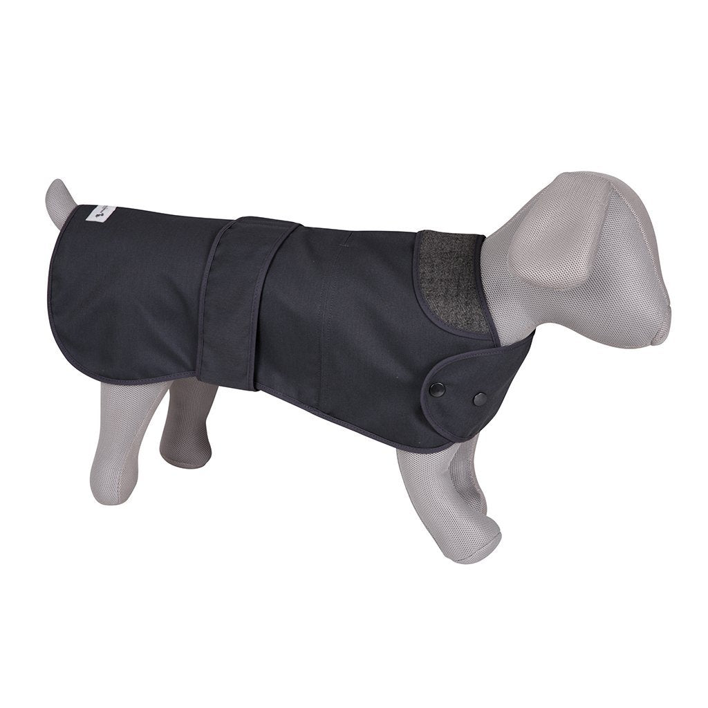 Grey dog coat hotsell